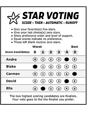 Figure 9.17 Sample STAR ballot