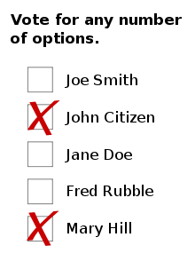 Figure 9.18 Sample ballot for approval voting