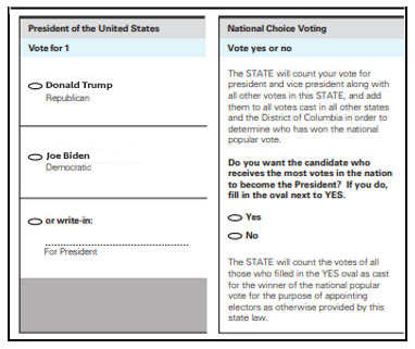 Figure 9.29 The Voter Choice Ballot